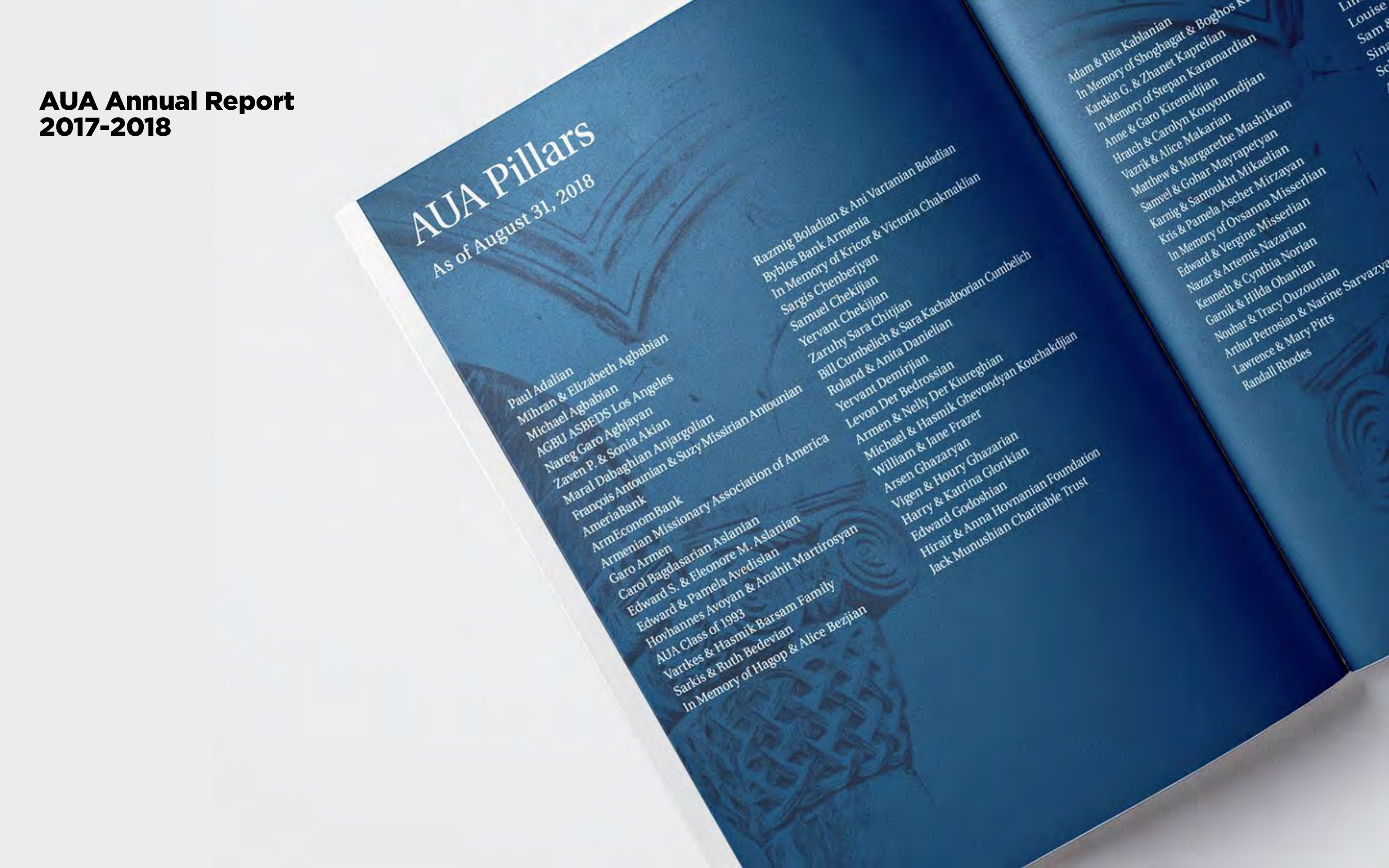AUA Annual Report Pillars