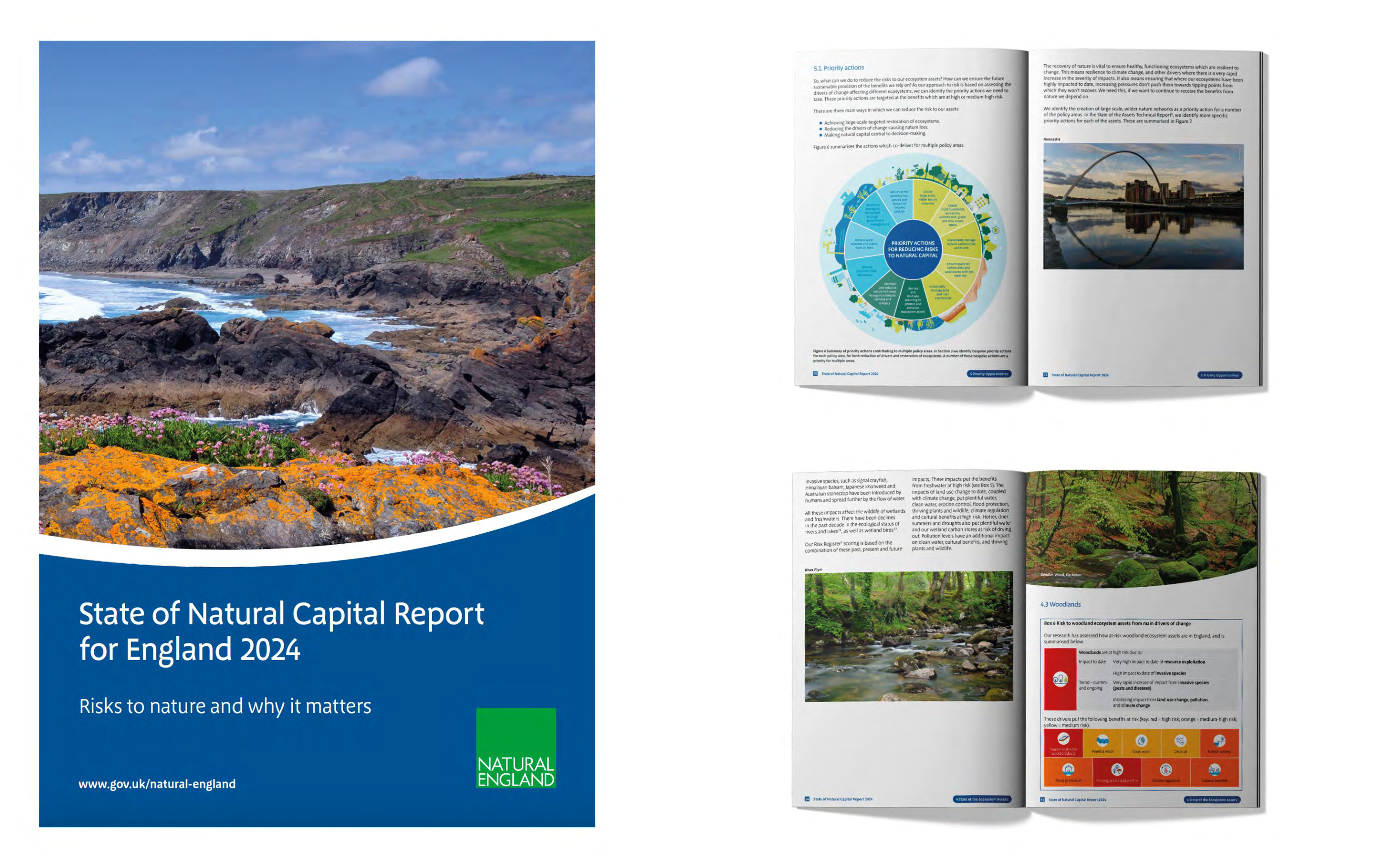 Natural England Technical Spread