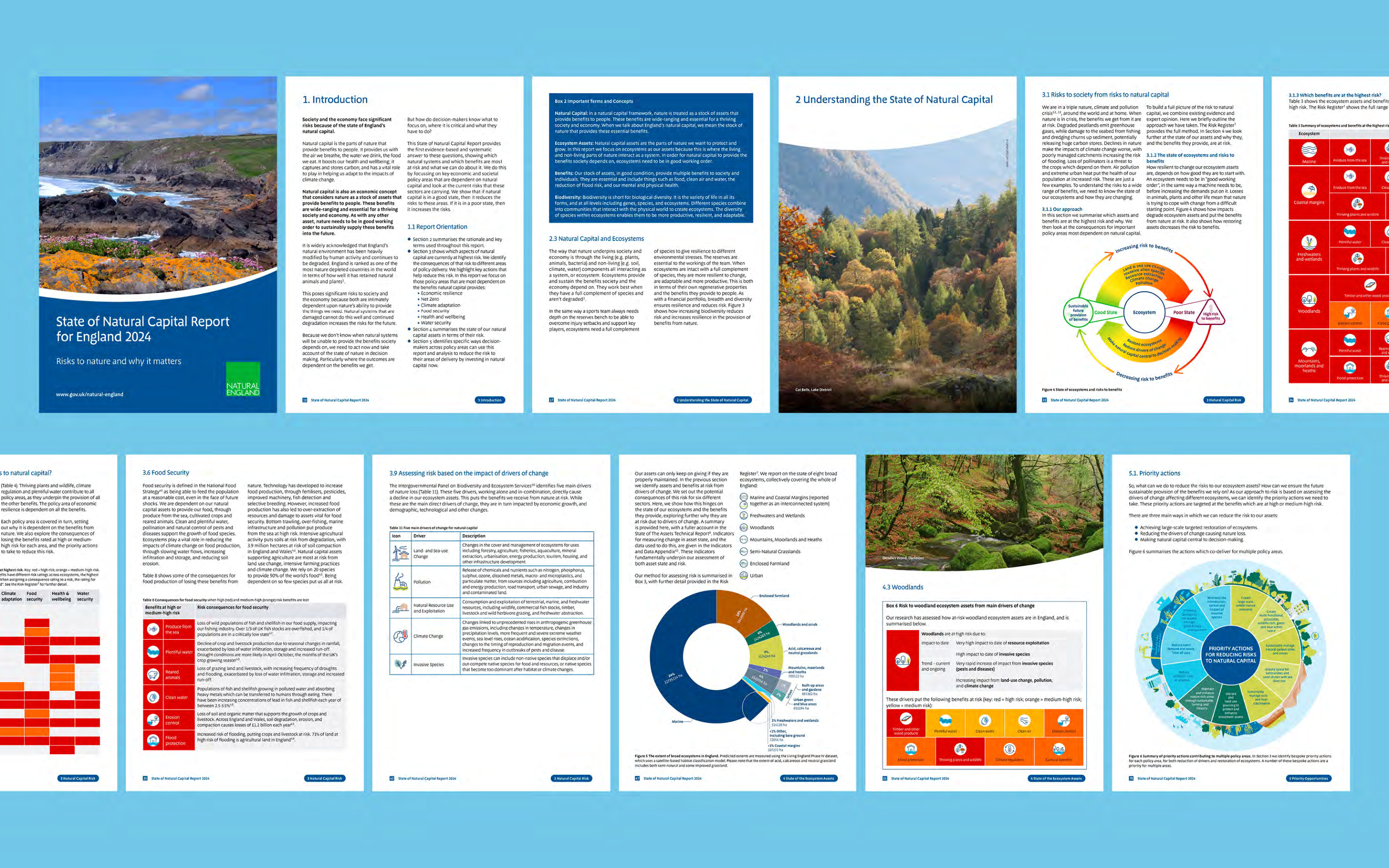 Natural England Risks Data Spread