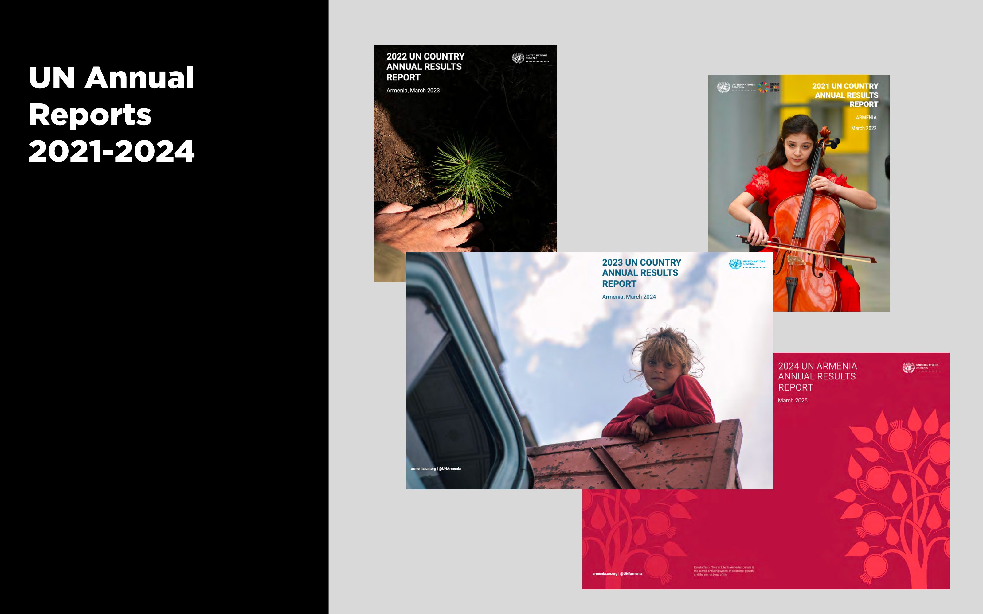 UNDP Country Report Covers